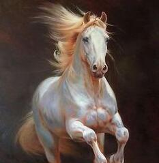 Horse-Equestrian